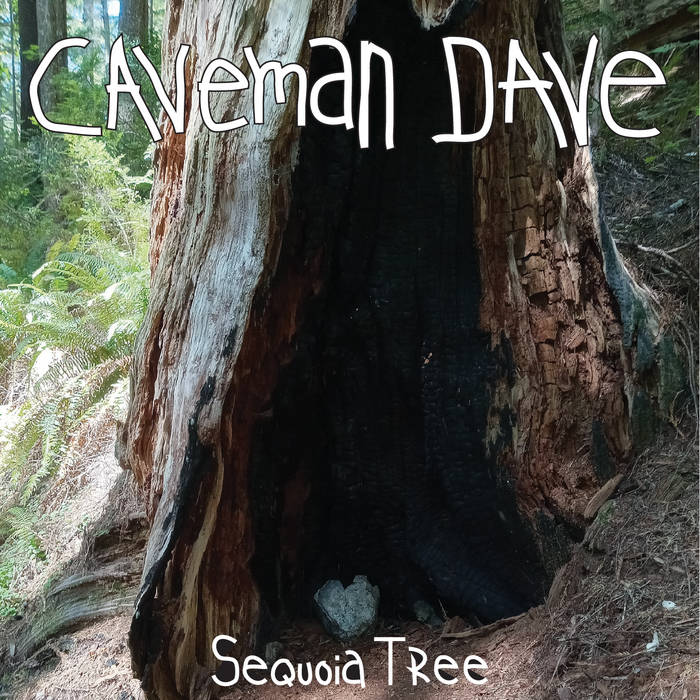 Sequoia Tree
