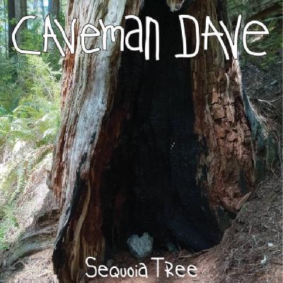 Sequoia Tree Cover